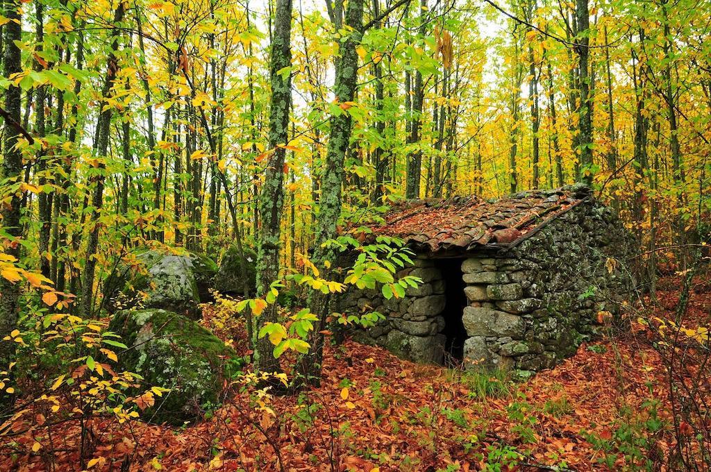 Casas Rurales Fuente Del Aliso Affittacamere Hervás Camera foto